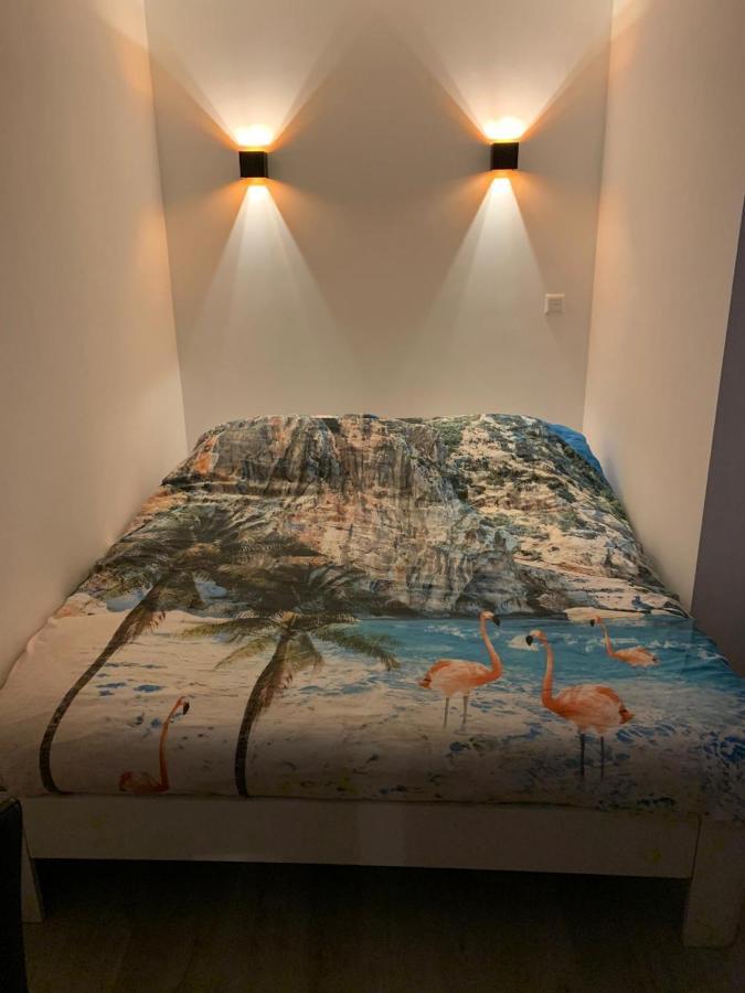 זנדוורט Blissiebeachhouse מראה חיצוני תמונה